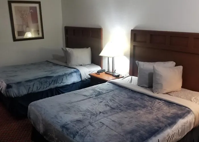 Hotel King Bed Hotel Room 110 Wi-Fi Booking